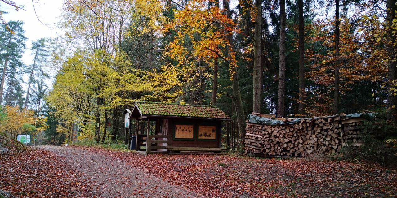 Zimmervermietung Stocker Waidhofen an der Ybbs Exterior photo
