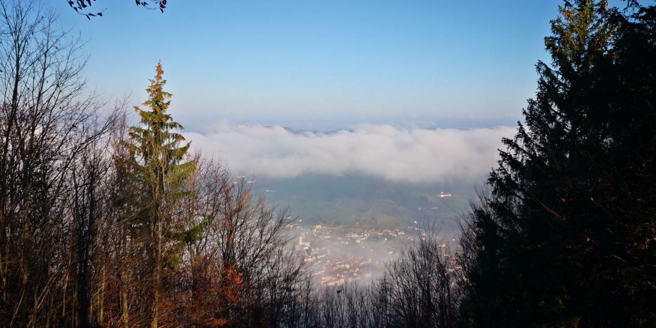 Zimmervermietung Stocker Waidhofen an der Ybbs Exterior photo